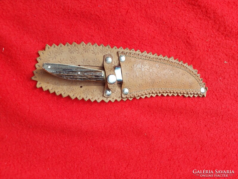 Hunting dagger with deer antler handle