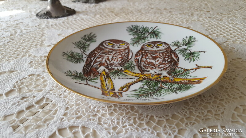 Steinkauz beautiful decorative plate with an owl, wall decoration