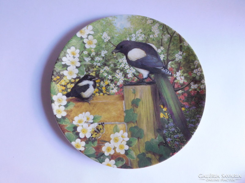 Coalport angol madaras tányér - szarka - "A kis tanonc"