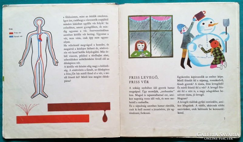 'Dr. András Kádár: miracles of blood - wise owl > children's and youth literature > educational