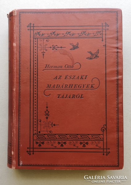 Otto Herman: about the landscape of the northern bird mountains. First edition. Rare!