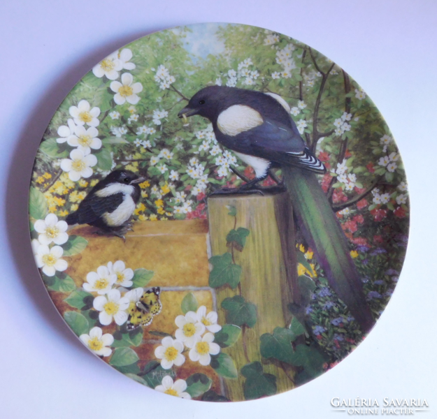 Coalport English bird plate - magpie - 