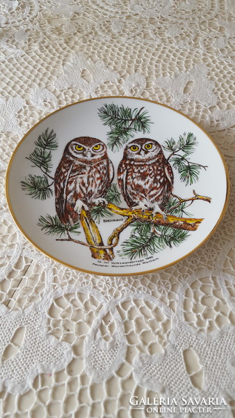 Steinkauz beautiful decorative plate with an owl, wall decoration