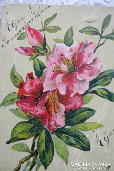 Szecessziós, litho/litográfiás képeslap/üdvözlőlap pink virág 1908