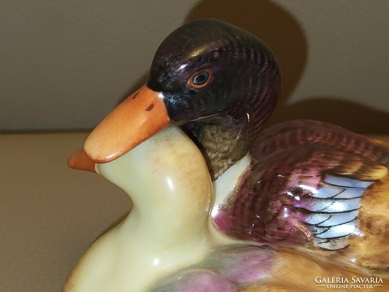 Pair of colorful ducks from Herend