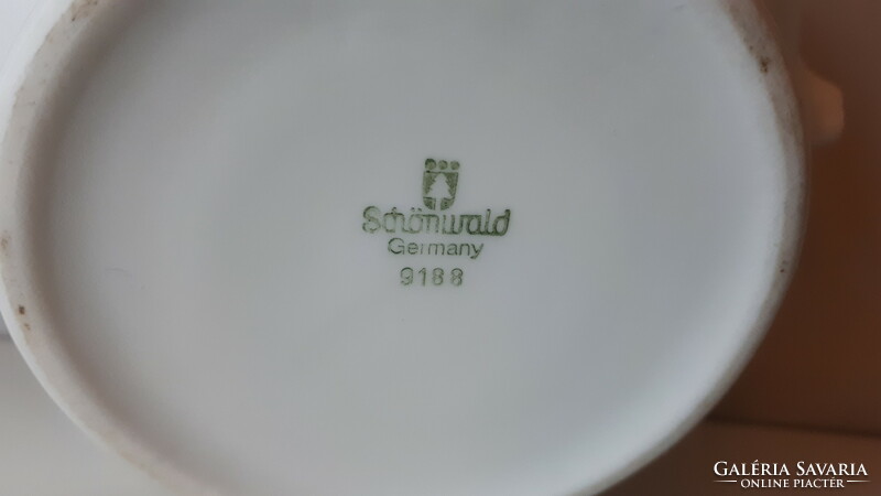 Régi hibátlan roszlánfejes Schönwald porcelán tál