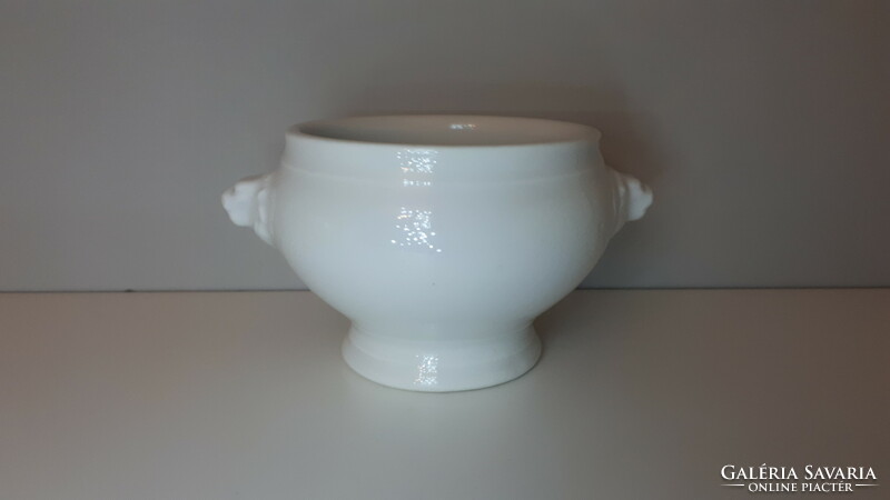 Old flawless schönwald porcelain bowl with lynx head