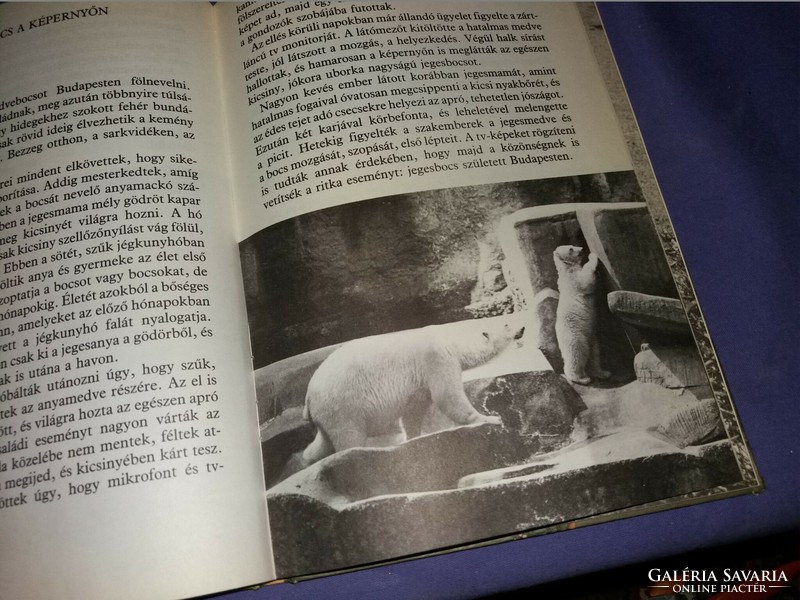 1985. Holdas Sándor - Gyere velem az Állatkertbe! képes könyv a képek szerint MÓRA