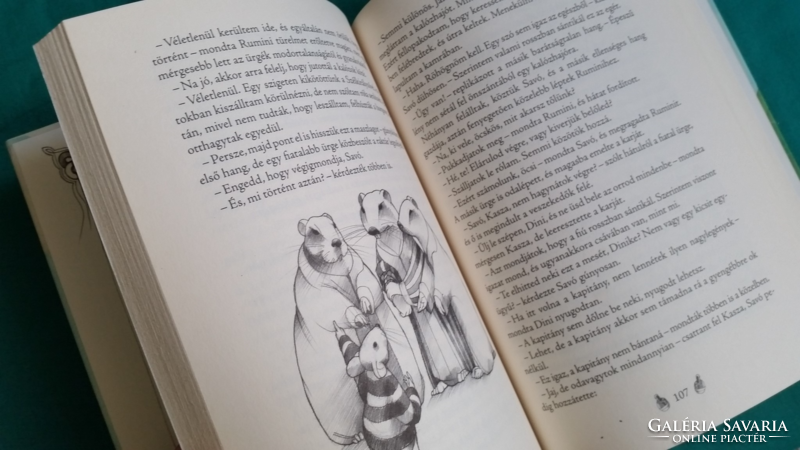 'Berg judit: rumini > children's literature > storybook, adventure novel