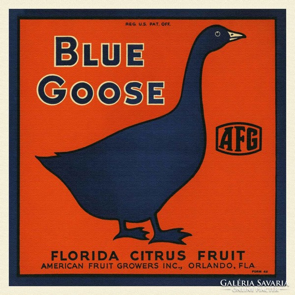 Blue Goose Brand