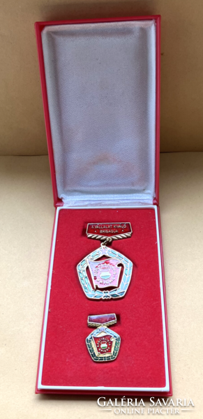 A Vállalat Kiváló Brigádja kitüntetés miniatűrrel dobozában