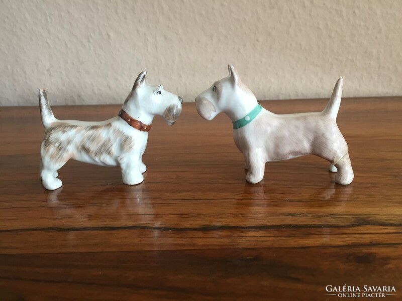 Aquincum porcelain dog