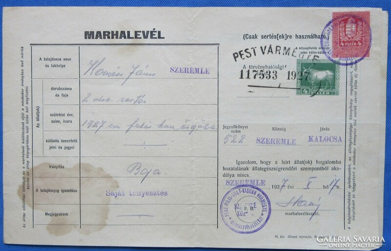 Old beef letter 1927. Pestvár county Szeremle village, Kalocsa district.