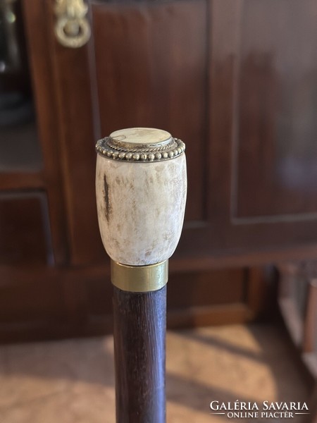 Walking stick with bone and silver handle