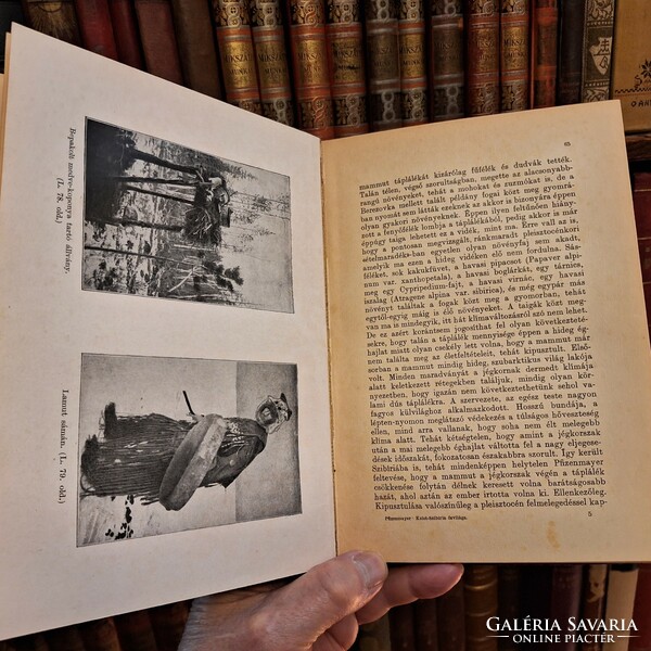 1930 LAMPEL első kiadás PFIZENMAYER: KELET SZIBIRIA ŐSLAKÓI   MAGYAR FÖLDRAJZI TÁRSASÁG KÖNYVTÁRA