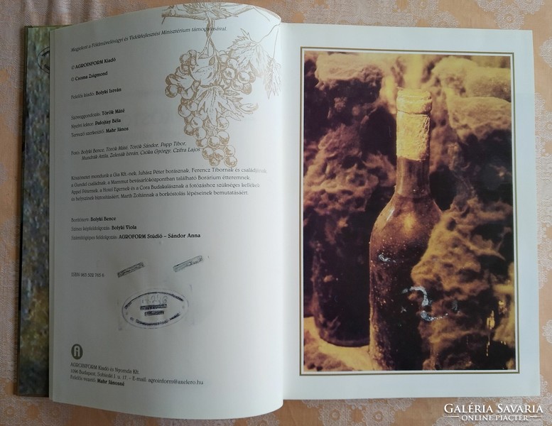 Csoma Zsigmond - the wine tasting (big book)