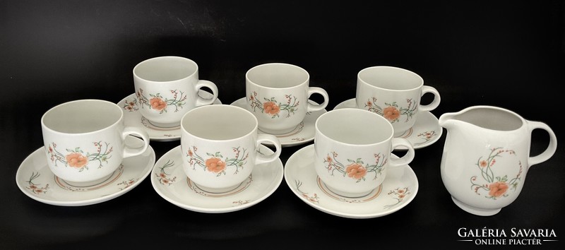 Alföldi display case, a rare tendril pink floral coffee set with spout in bella style