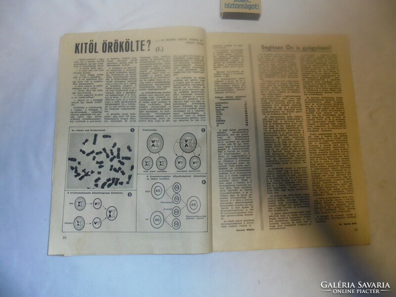 Családi lap 1972 november- akár születésnapi ajándéknak - újság