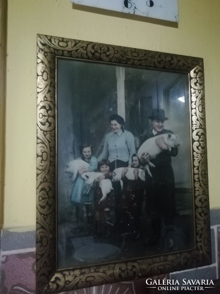 Régi reklám család malacokkal gyönyörű keretben 58 cm x 45 cm