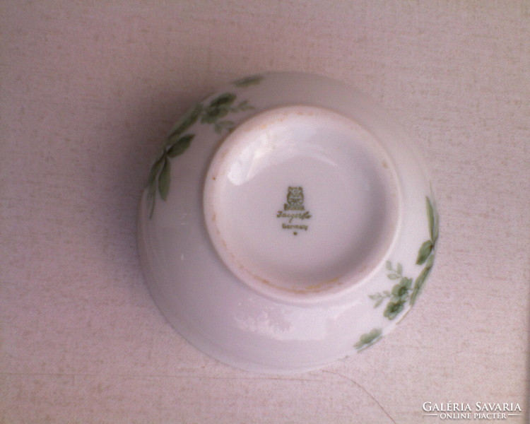 Bavaria green rose porcelain coffee set