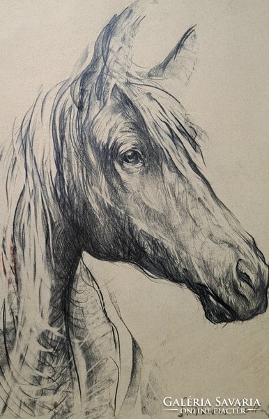 Zoltán Simon (1950-): horse portrait (pencil drawing in frame)