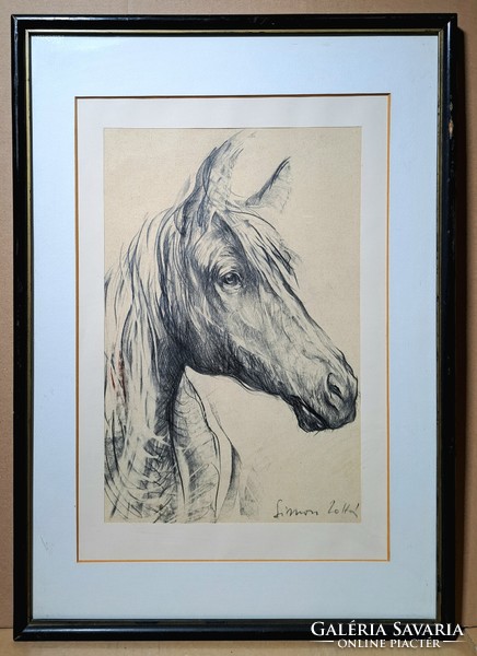 Zoltán Simon (1950-): horse portrait (pencil drawing in frame)