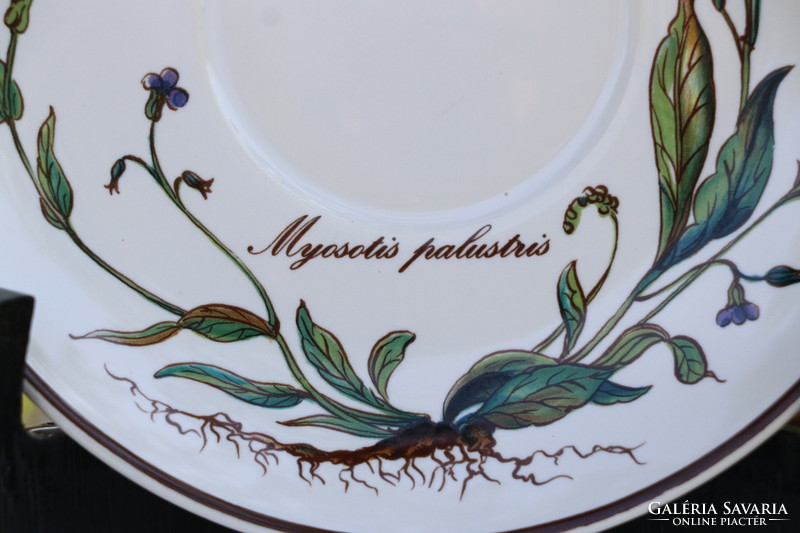 Villeroy botanica cup + saucer