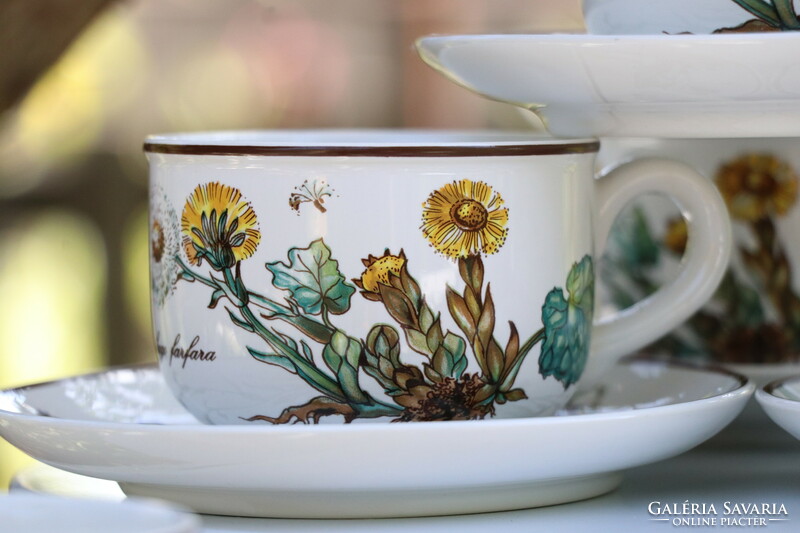 Villeroy botanica cup + saucer