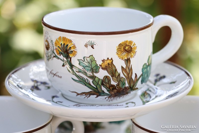 Villeroy botanica cup + saucer ii.