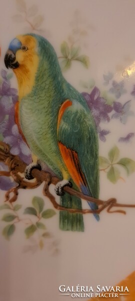 Antik papagáj madaras porcelán dísztányér (L4013)