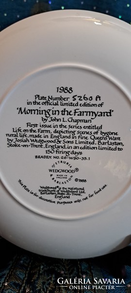 Lovas vidéki jelenetes porcelán tányér, angol dísztányér 1 (L4154)