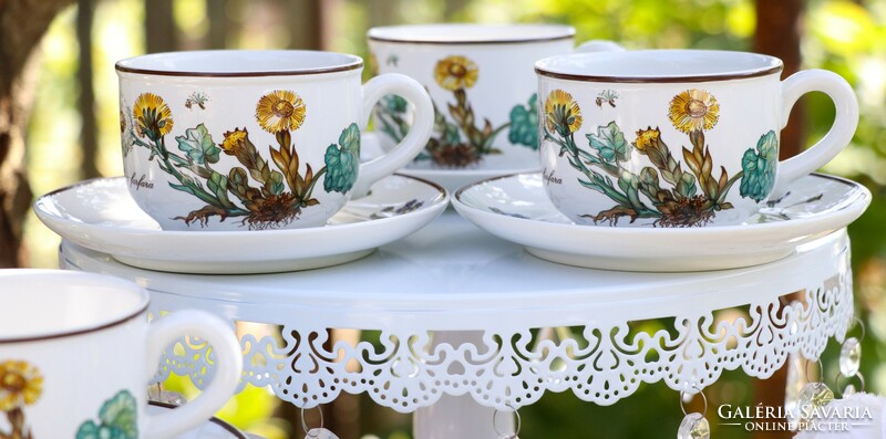 Villeroy botanica cup + saucer