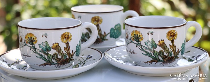 Villeroy botanica cup + saucer ii.