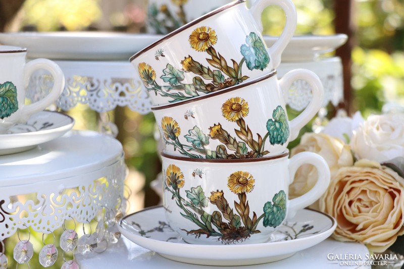 Villeroy botanica cup + saucer