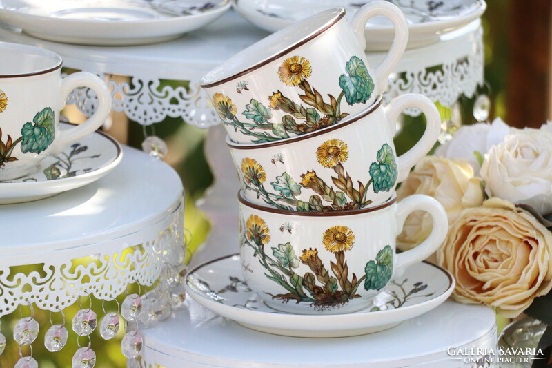 Villeroy botanica cup + saucer ii.