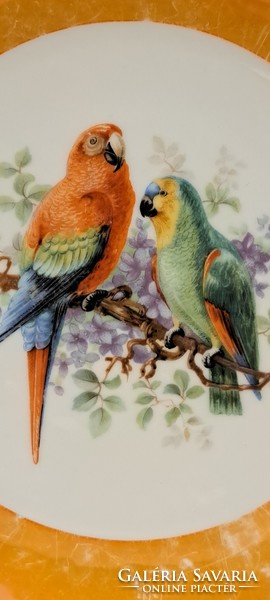Antique parrot bird porcelain decorative plate (l4013)