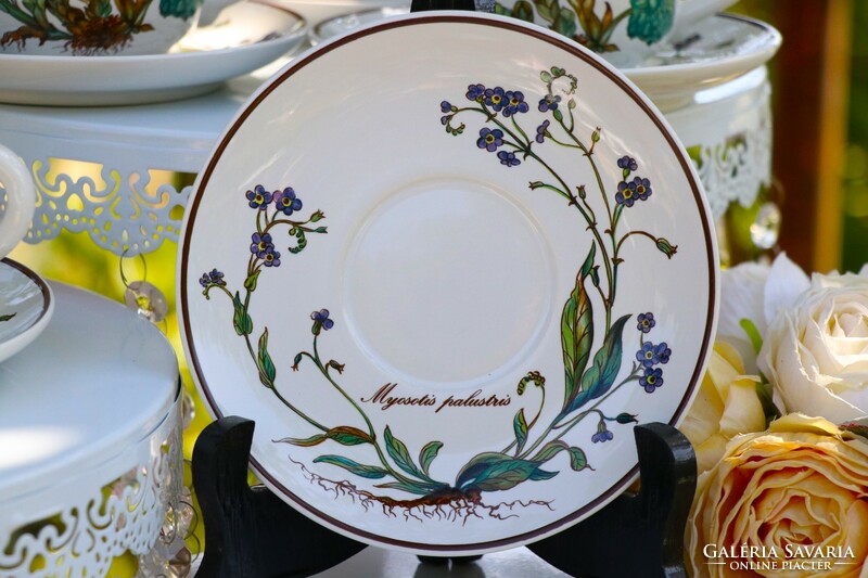 Villeroy botanica cup + saucer