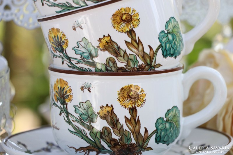 Villeroy botanica cup + saucer ii.