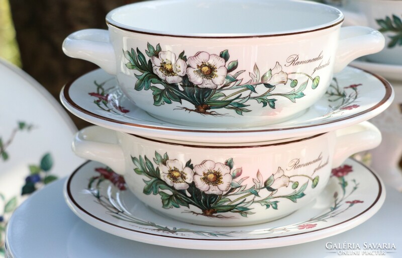 Villeroy botanica soup cup + saucer