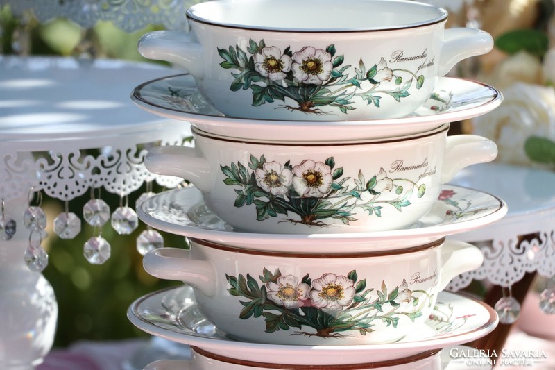 Villeroy botanica soup cup + saucer