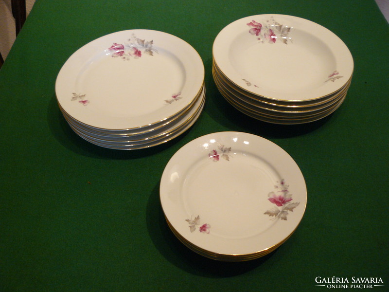 A set of plain porcelain plates with a floral golden edge