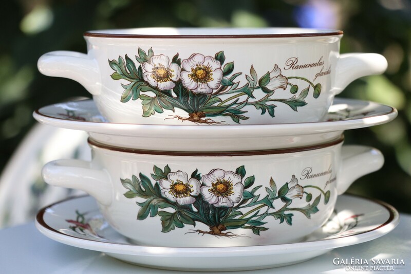 Villeroy botanica soup cup + saucer