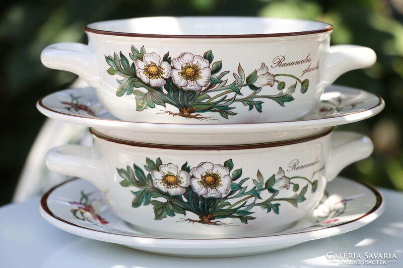 Villeroy botanica soup cup + saucer