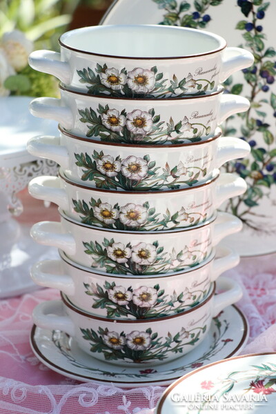 Villeroy botanica soup cup + saucer