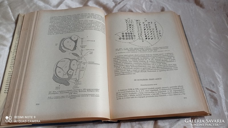 Medical textbook: physiology, pathophysiology, Dr. László Hársing, medicine