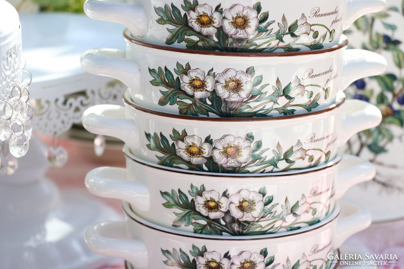 Villeroy botanica soup cup + saucer