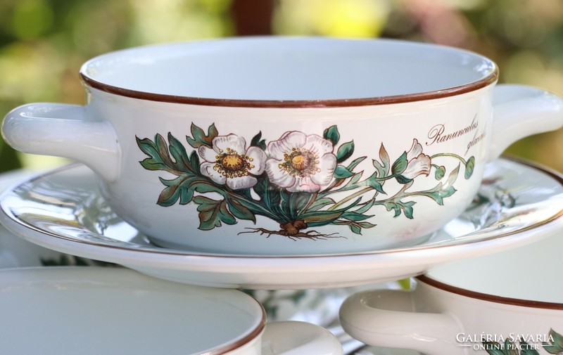 Villeroy botanica soup cup + saucer