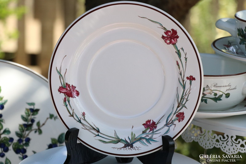 Villeroy botanica soup cup + saucer