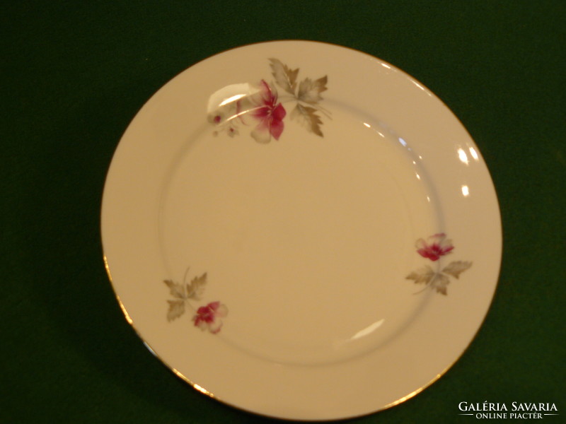 A set of plain porcelain plates with a floral golden edge