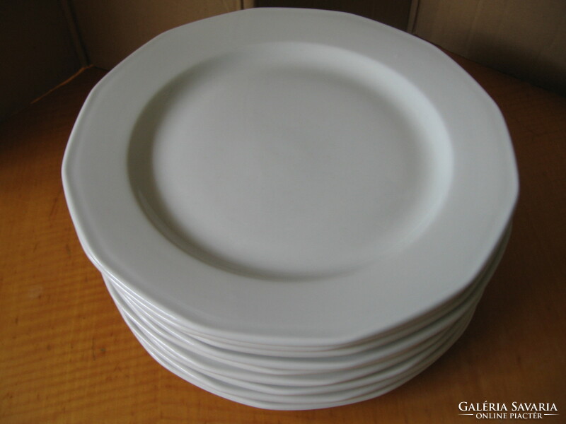 Hotel, restaurant quality holst porcelain germany mercury large flat plate